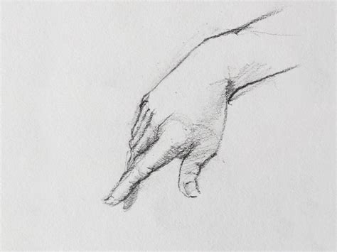 living things drawing easy|Ten top tips for life drawing .